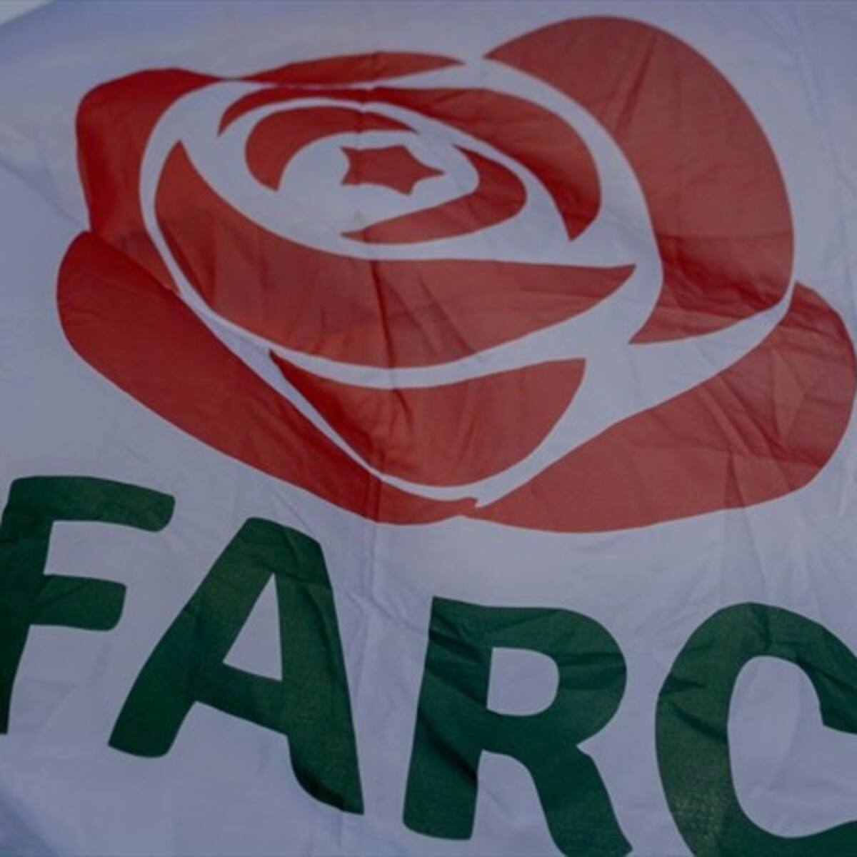 No tratamos de boicotear lo que ha tenido las Farc: ONG Comité de Reconciliación