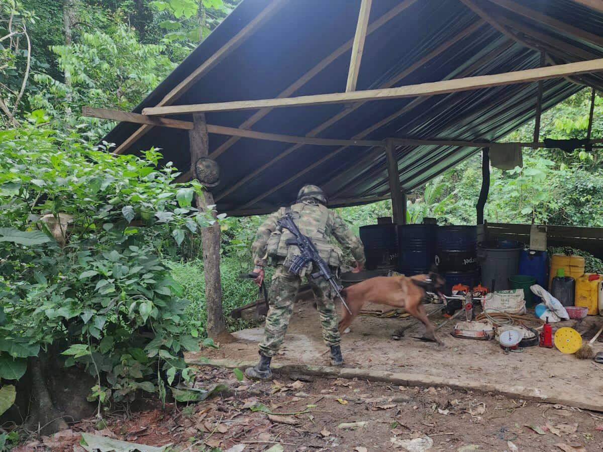 Desmantelan 3 laboratorios para el procesamiento de base de cocaína en el Urabá