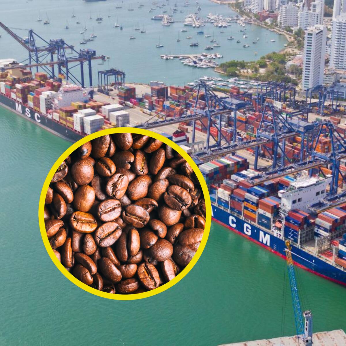 Falta de contenedores en puertos impediría exportar café: Asoexport lanza alerta