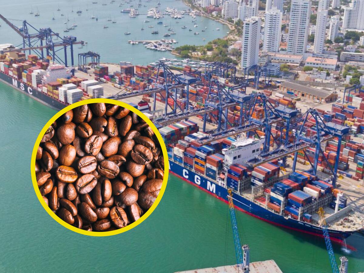Falta de contenedores en puertos impediría exportar café: Asoexport lanza alerta