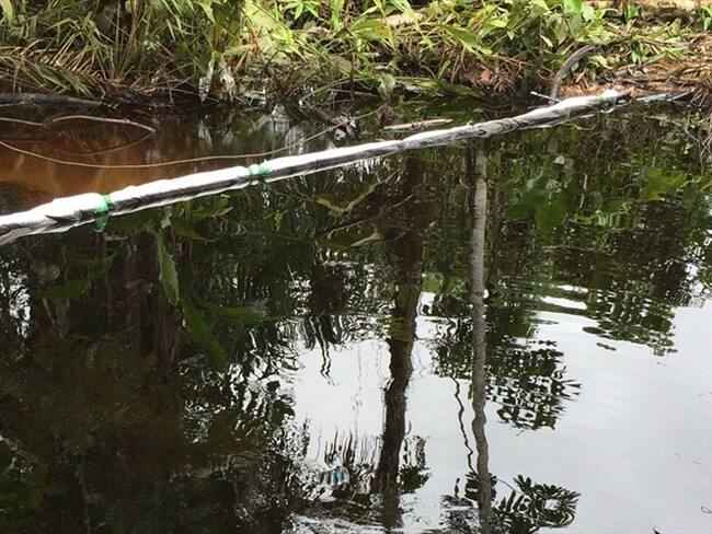 No tenemos con qué darle de comer a nuestros hijos: pescadores de Barrancabermeja