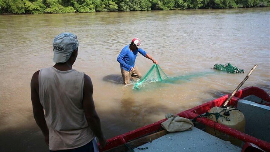 Entre los capturados se encuentran cuatro colombianos y un venezolano. Foto: Colprensa