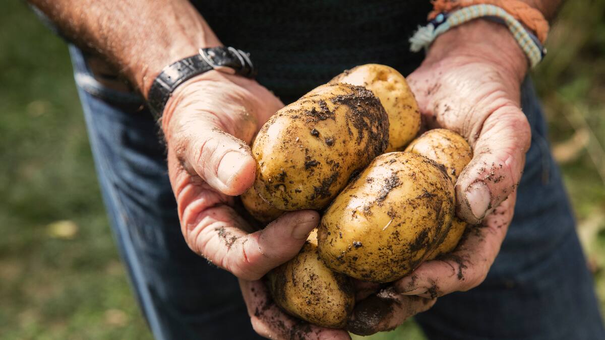 Colombia quitó aranceles para importación de 39 insumos agropecuarios para reducir costos de producción