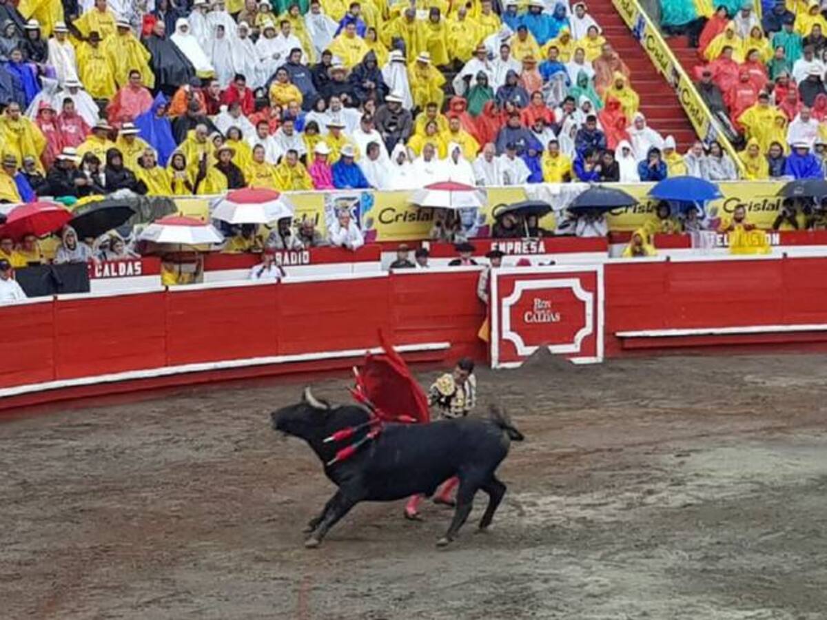 Animalistas en Caldas celebran posibilidad de prohibición de las corridas de toros
