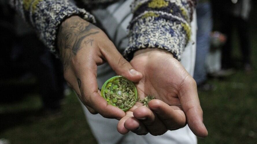 Fiscalía ordena suspender energía en invernaderos de marihuana del Cauca. Foto: Colprensa