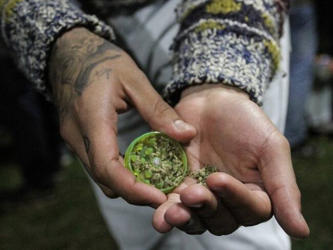 Fiscalía ordena suspender energía en invernaderos de marihuana del Cauca. Foto: Colprensa