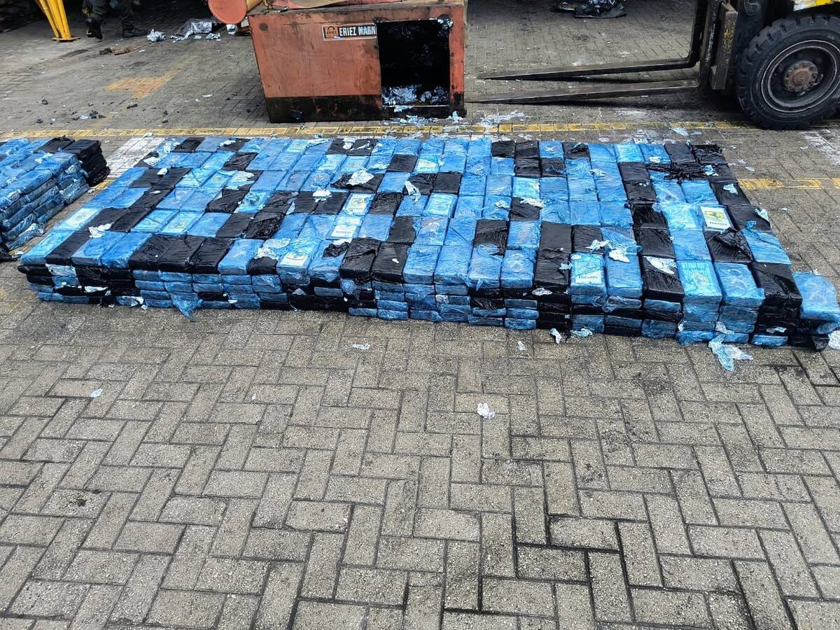 Fue incautada más de 1 tonelada de cocaína en el puerto de Cartagena
