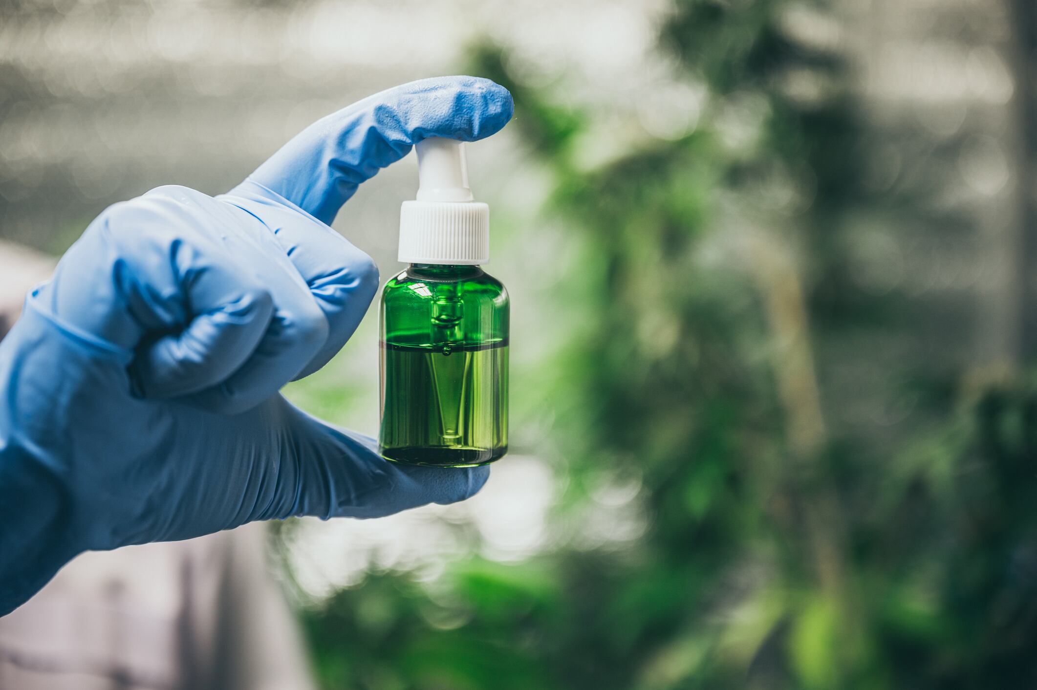 Imagen de referencia de cannabis medicinal. Foto: greenleaf123