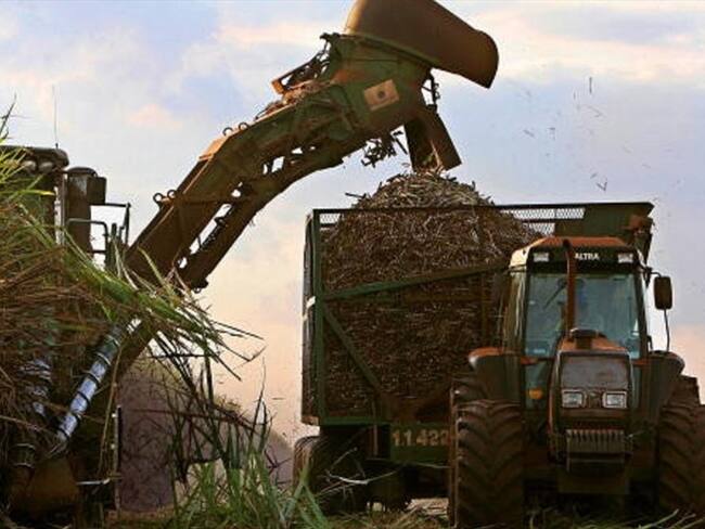 Biocombustible. Foto: Getty Images