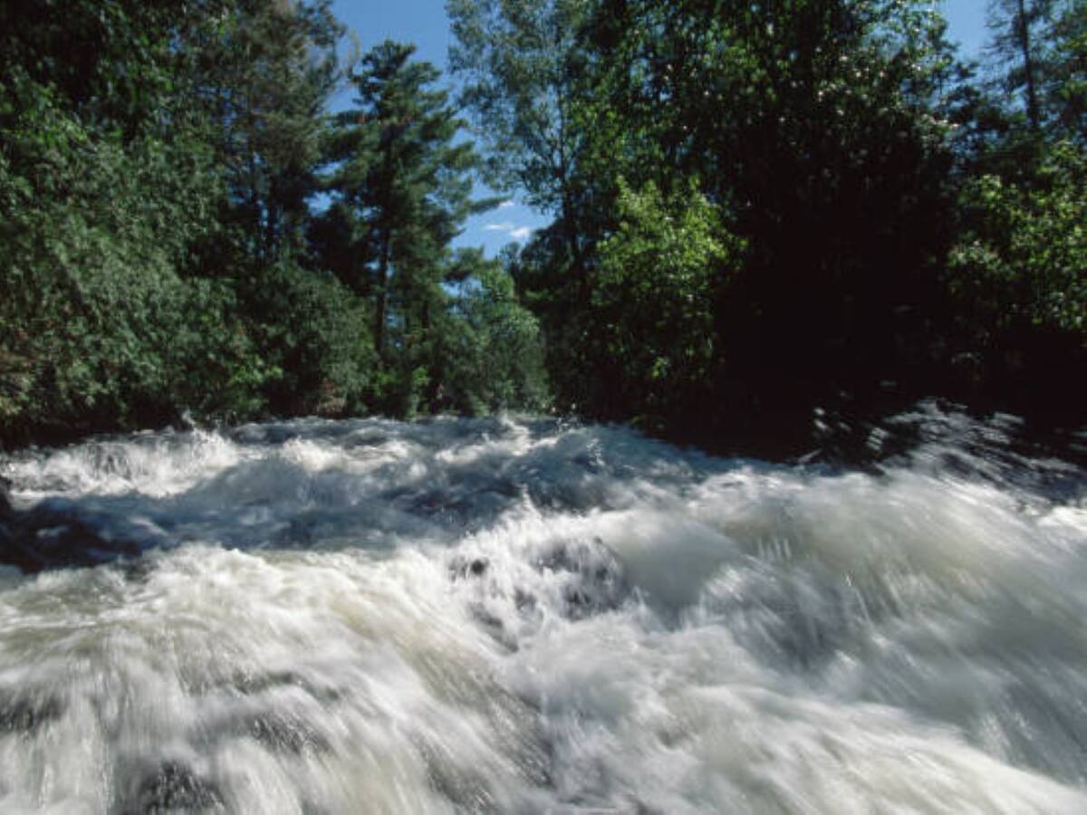Una mujer desapareció tras ser arrastrada por las aguas del río Córdoba, en Ciénaga