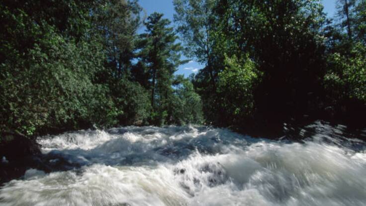 Una mujer desapareció tras ser arrastrada por las aguas del río Córdoba, en Ciénaga