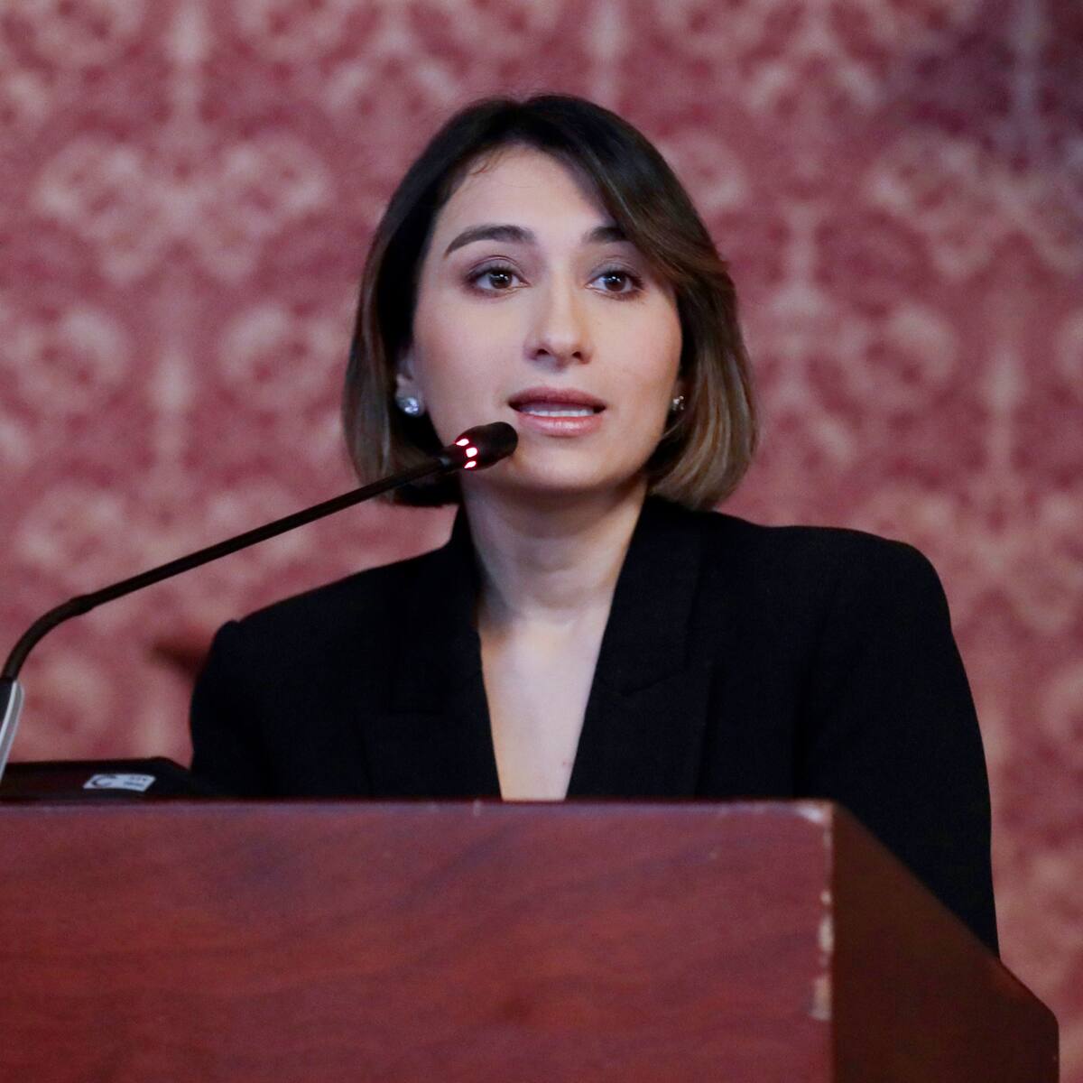 Laura Sarabia inició agenda en la ONU para buscar apoyo para la paz en Colombia