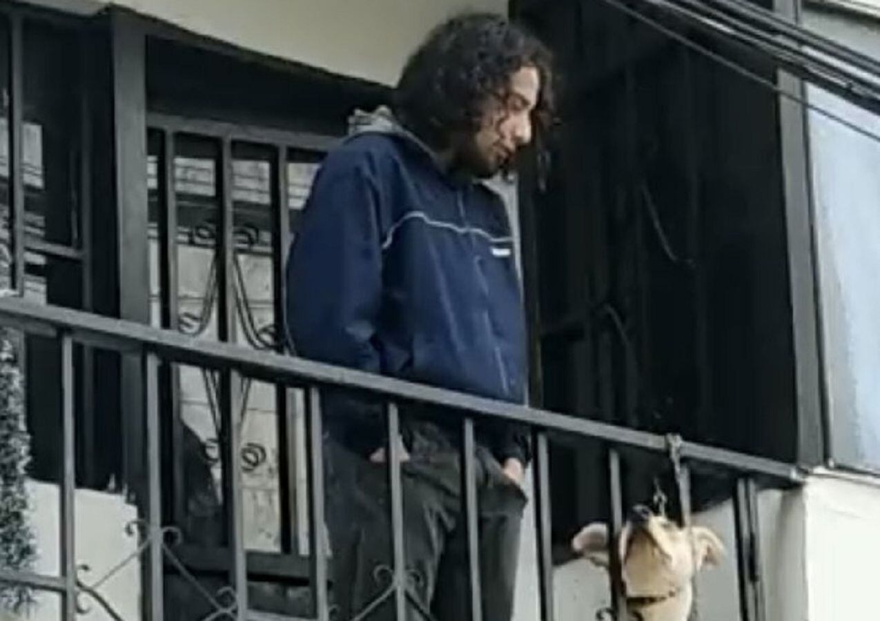 Autoridades verificaron posible caso de maltrato animal en Pamplona- Cortesía 