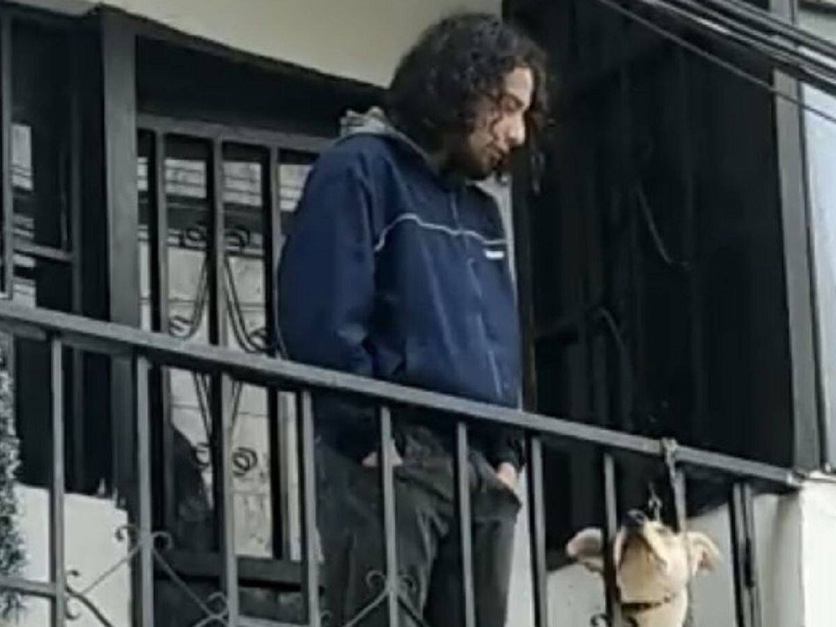 Autoridades verificaron posible caso de maltrato animal en Pamplona