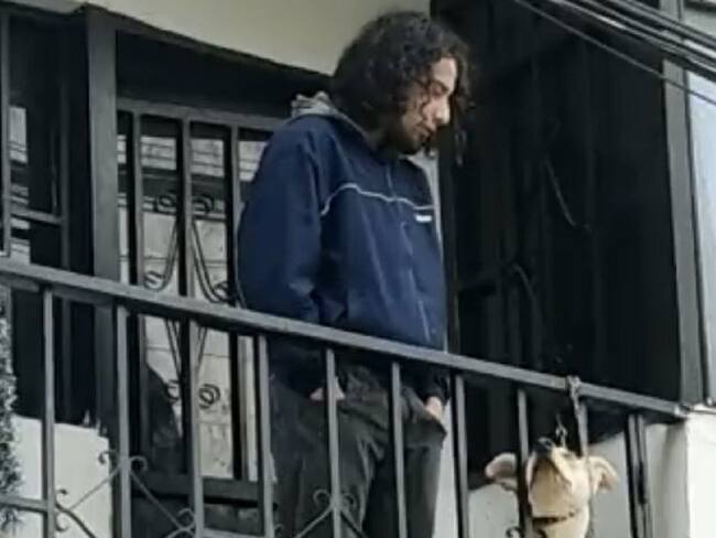 Autoridades verificaron posible caso de maltrato animal en Pamplona- Cortesía