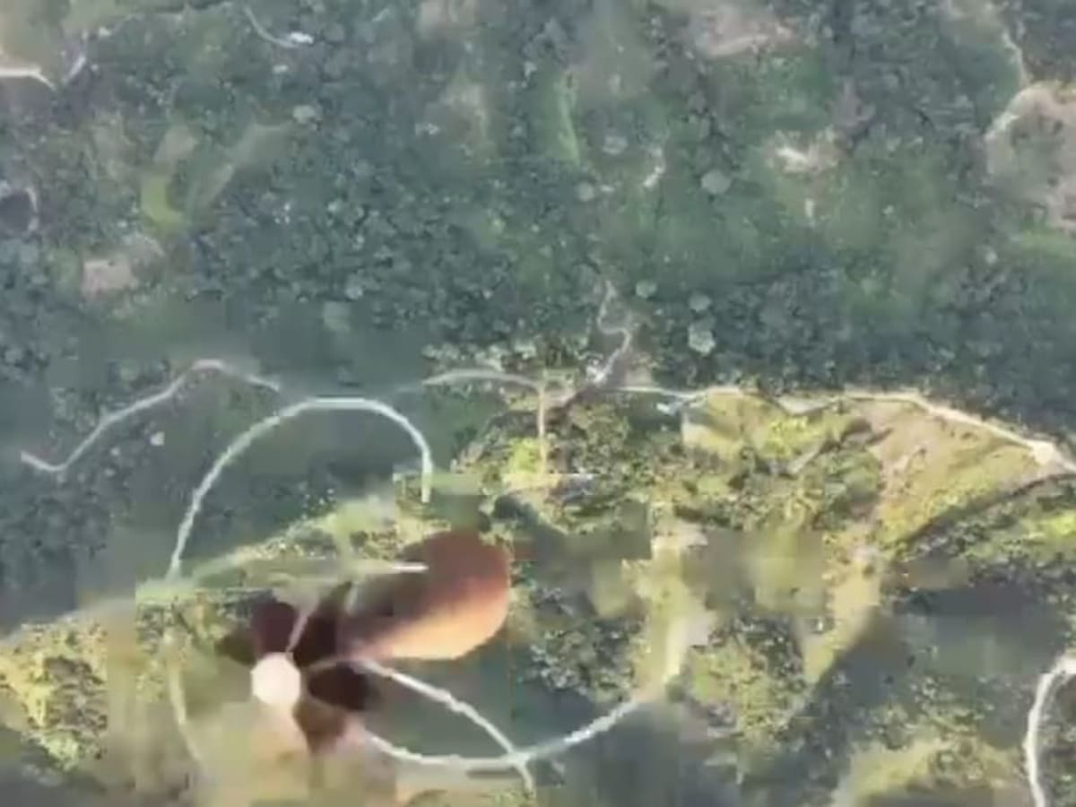 Campesinos del Catatumbo están desplazándose por lanzamiento indiscriminado de explosivos en drones