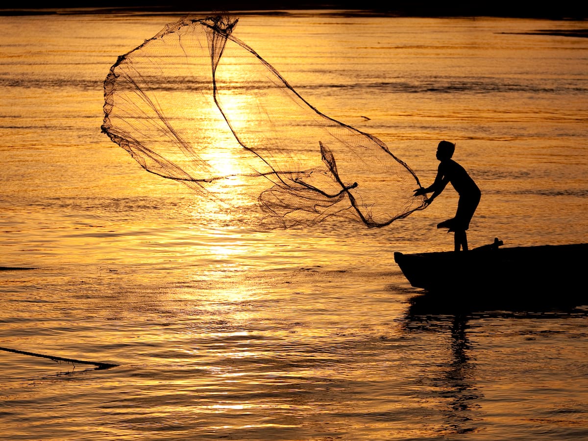 Contraloría le pone la “lupa” a la Autoridad de Acuicultura y Pesca
