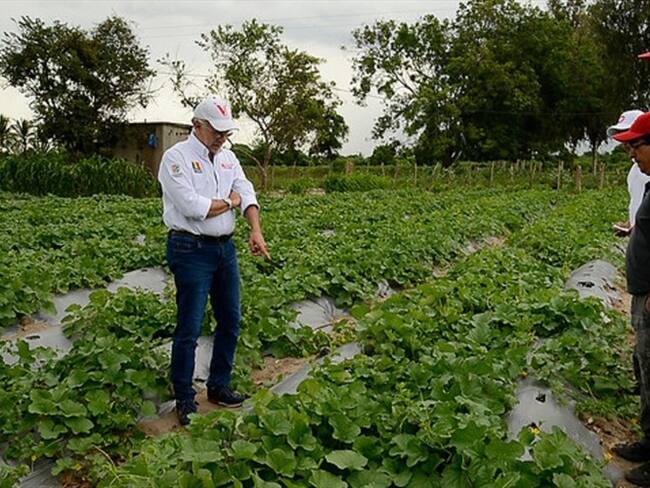 Agencia Nacional de Tierras . Foto: Colprensa