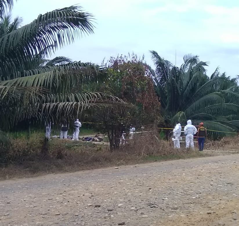 Imagen de referencia. Crédito: Colprensa.