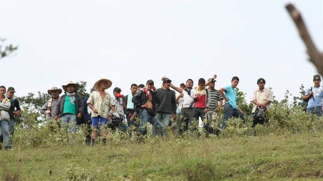 Imagen de referencia. Foto: Colprensa