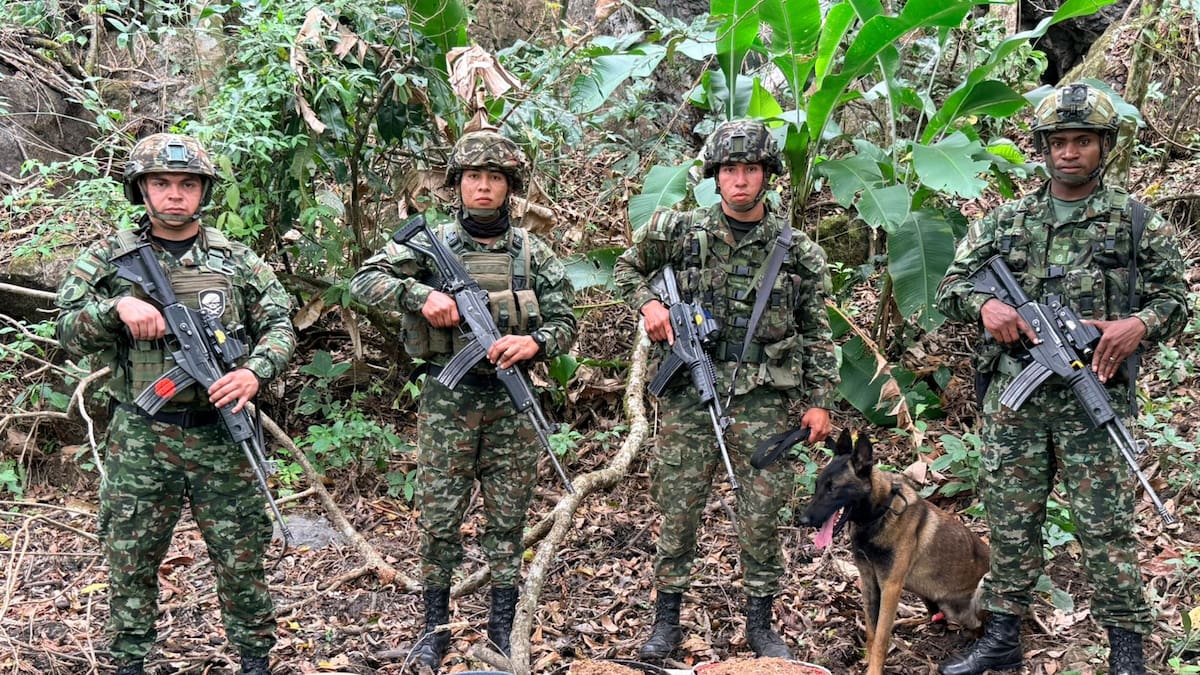 Ejército destruyó material explosivo en Labranzagrande, Boyacá