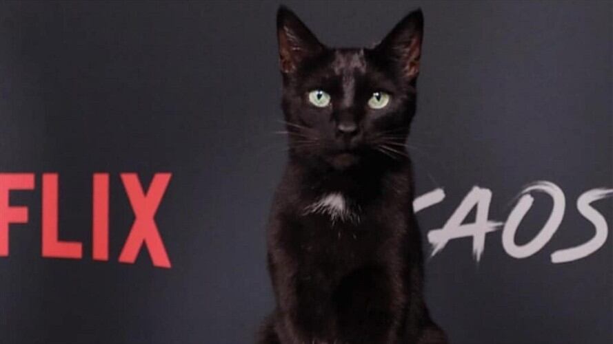 "Salem" caminó en la alfombra roja deñ "Mundo oculto de Sabrina". Foto: Twitter