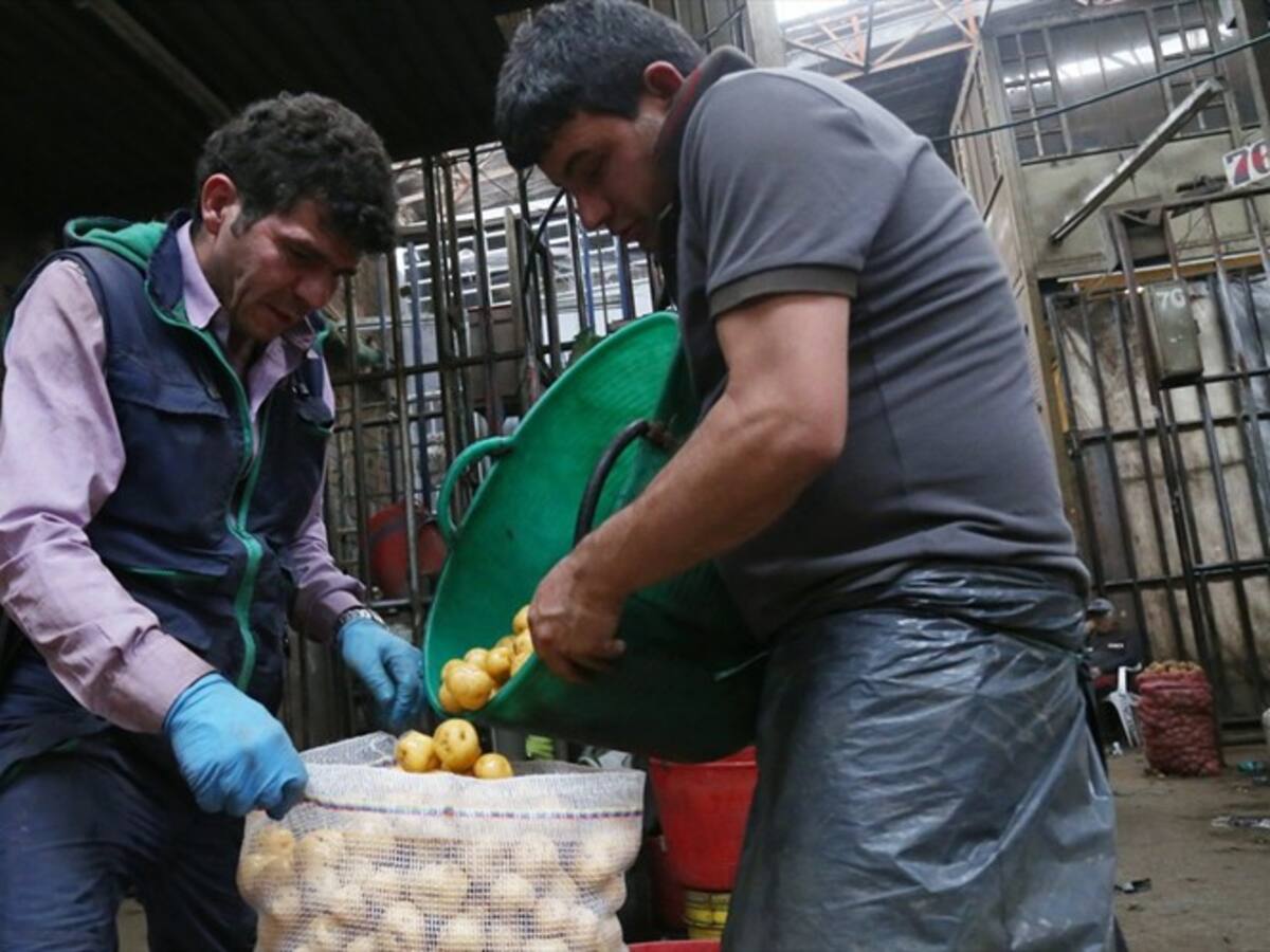 ¡Otro más! Contrato de alimentos para la cuarentena en Arauca tendría sobrecostos