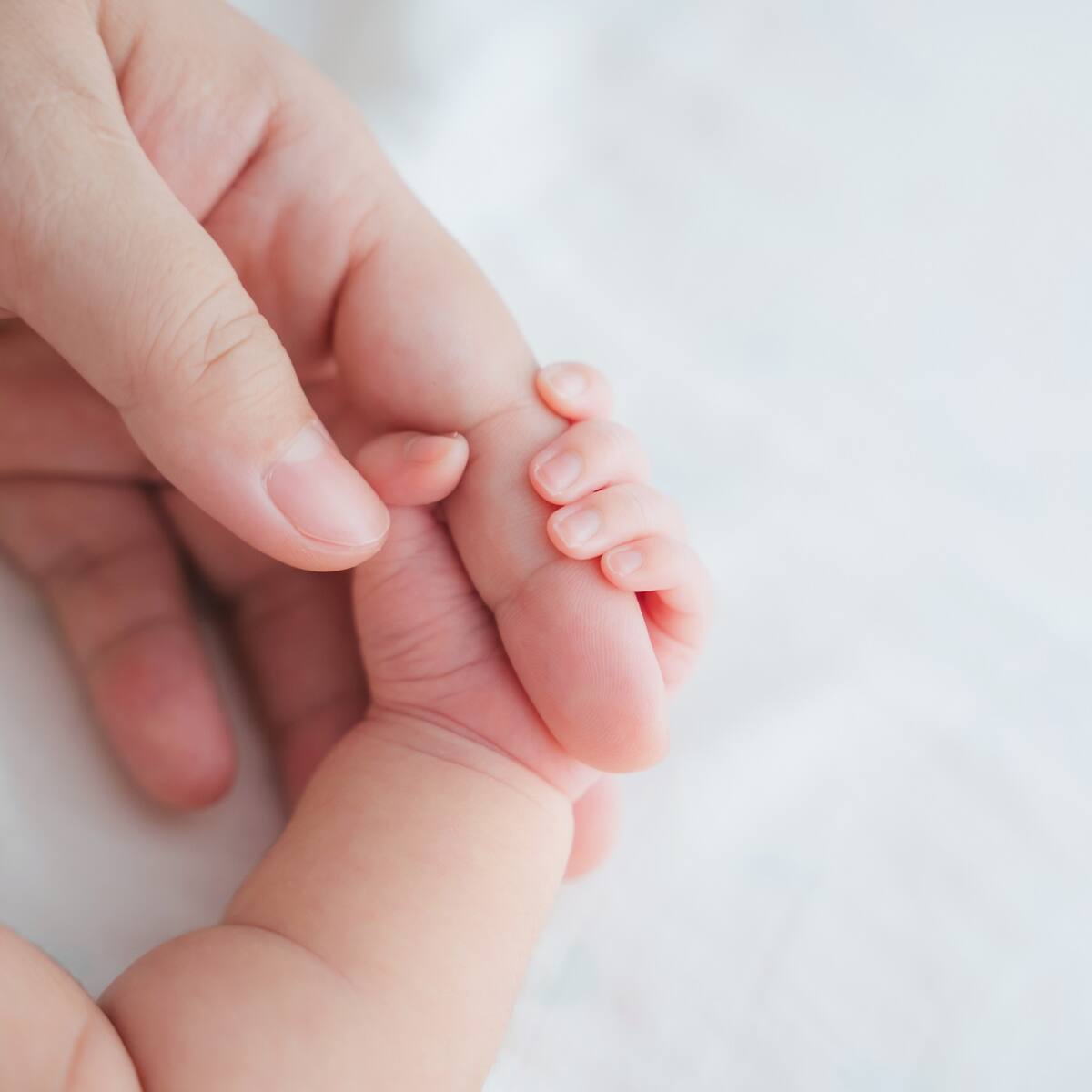Contratistas del Estado en embarazo tienen derecho a licencia de maternidad