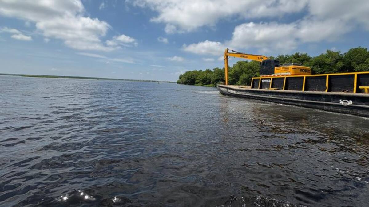 Inicia plan piloto en la Ciénaga Grande para contrarrestar la presencia de planta invasora