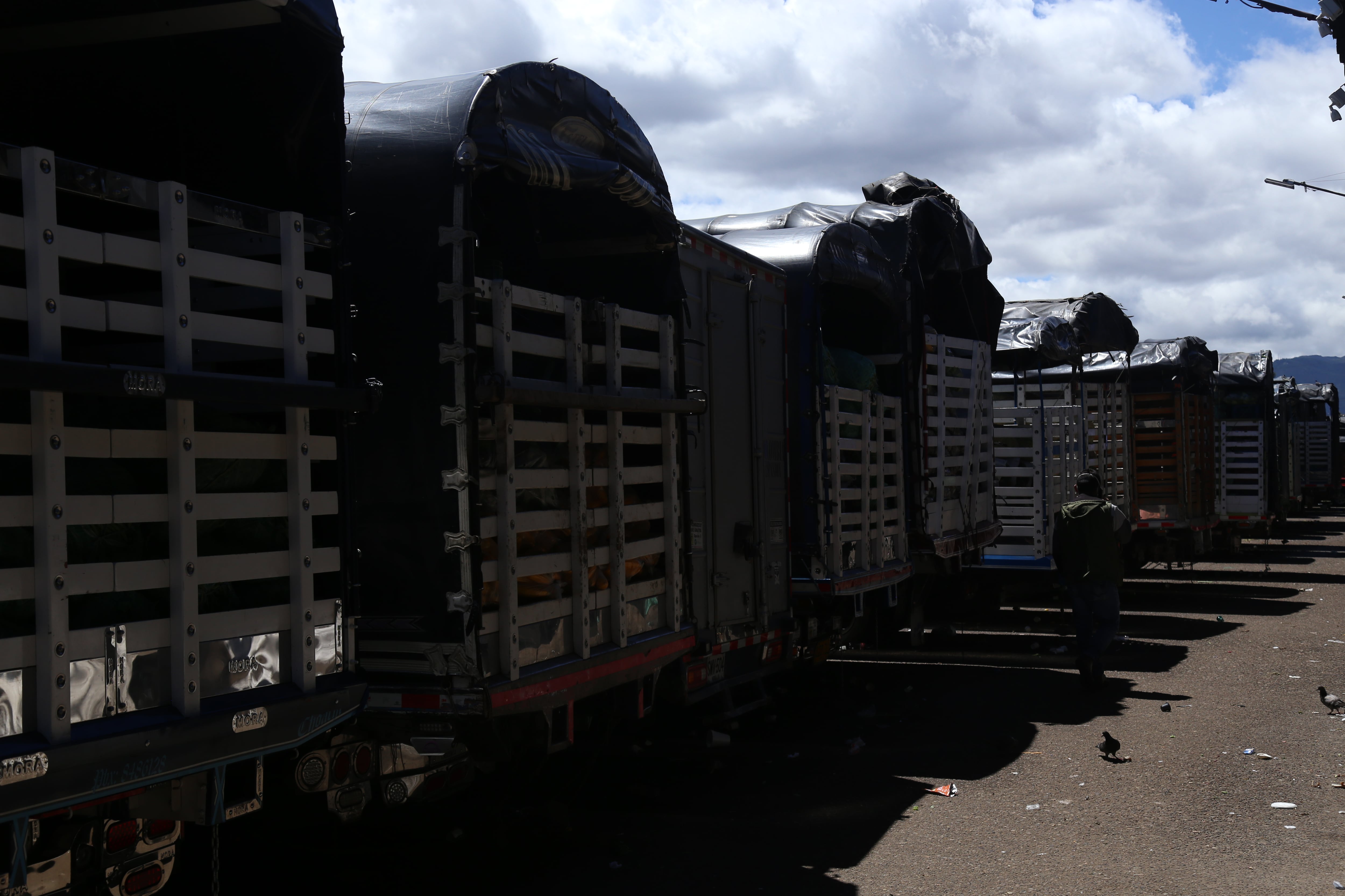 Corabastos, imagen de referencia. Foto: (Colprensa - Camila Díaz)