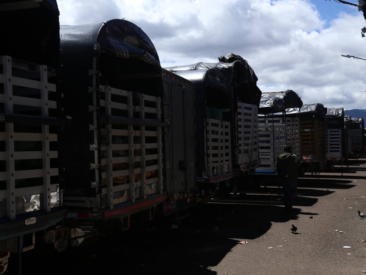 Corabastos tendrá que dar claridad de sus estados financieros: Supersociedades