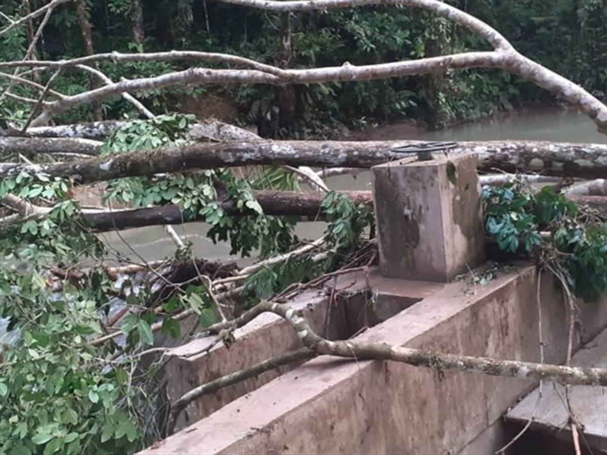 Lluvias dejan sin agua potable a más de 2.000 familias en Piamonte, Cauca
