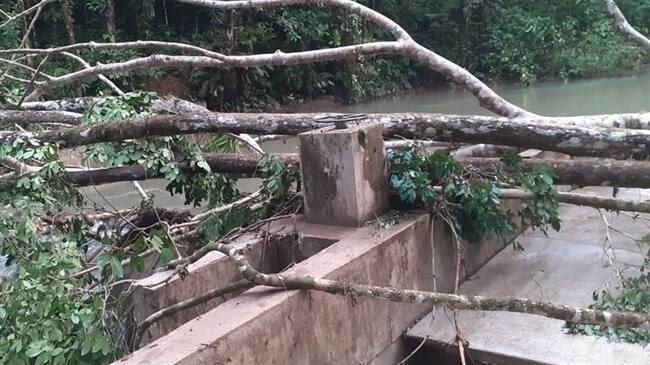 Las autoridades de Piamonte solicitaron apoyo al Gobierno Departamental y Nacional para atender las emergencias . Foto: Cortesía