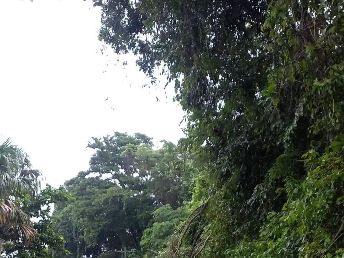 Avanza entrega de ayudas humanitarias a damnificados por vendaval en Barranquilla