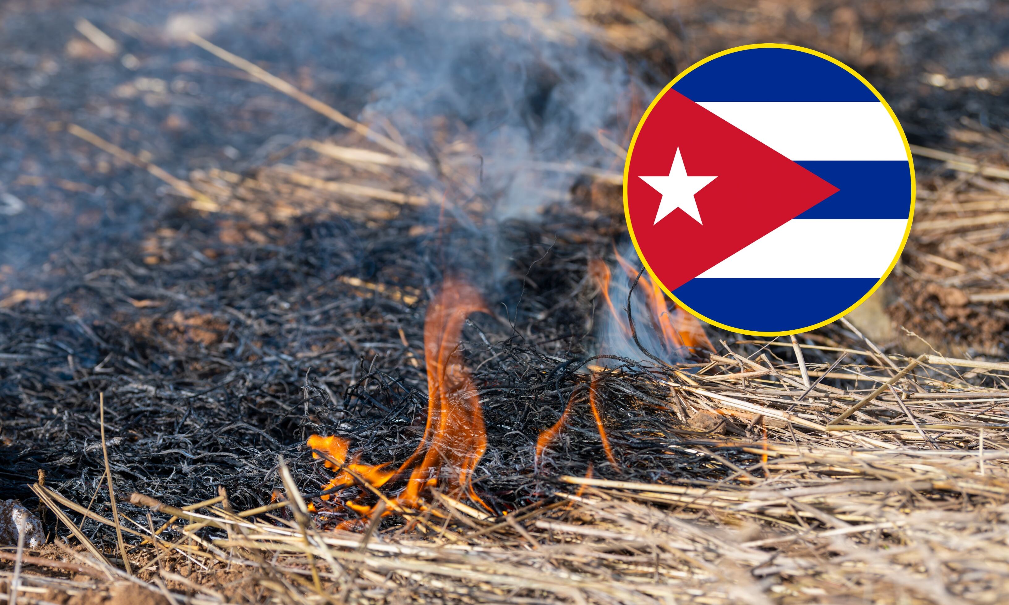 Imagen de referencia Getty images