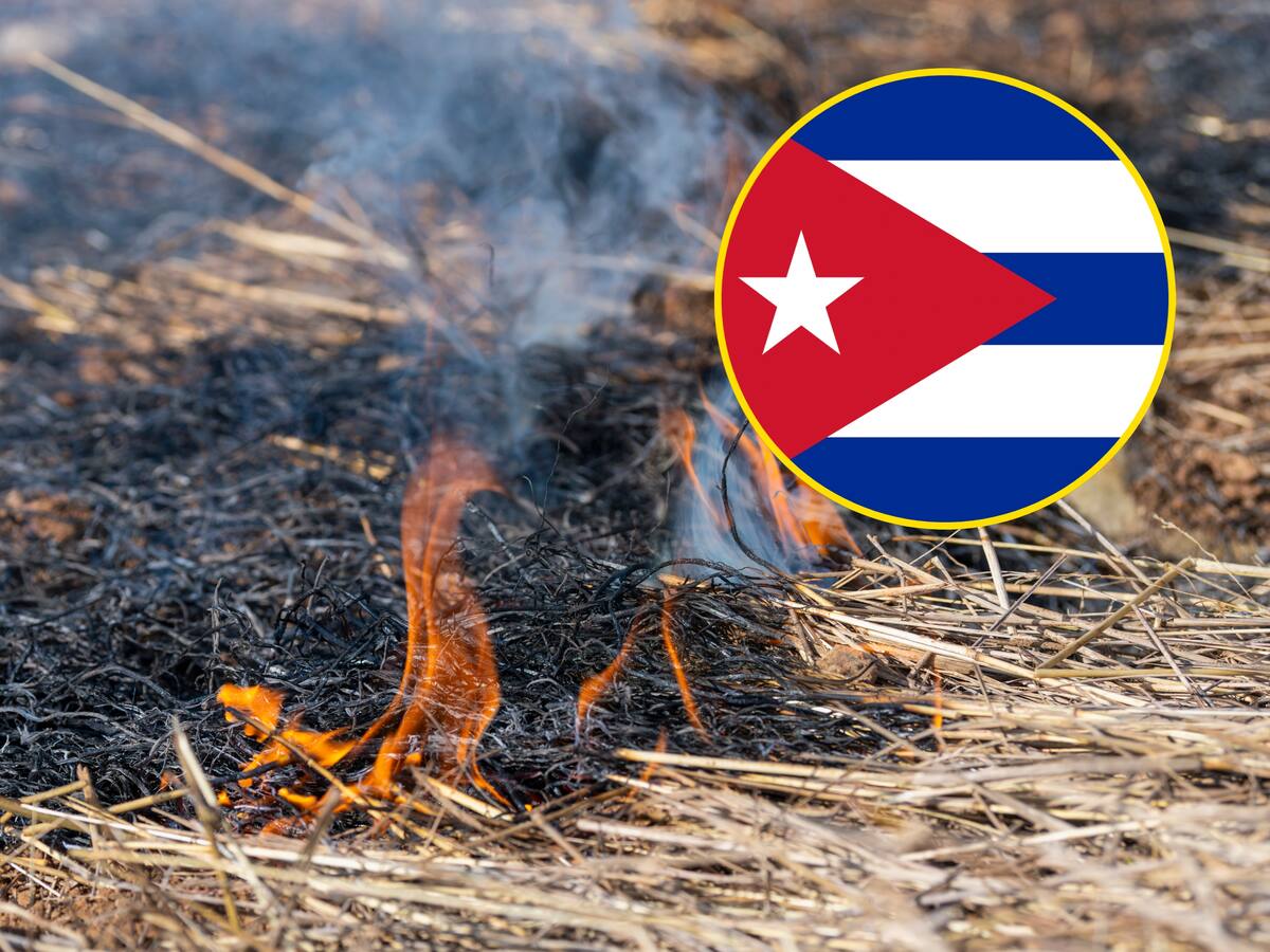 Un incendio forestal de gran proporción arrasó más de 1.900 hectáreas de bosques en Cuba