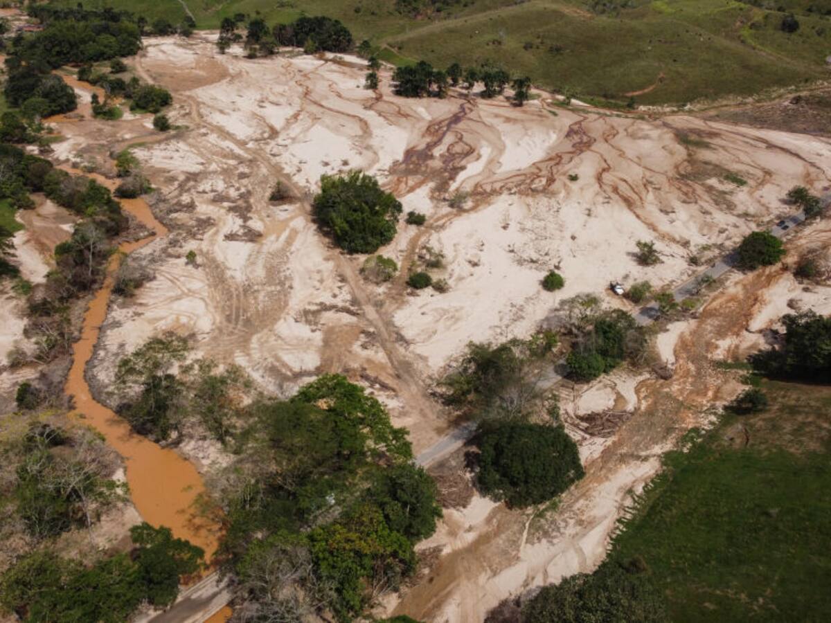 Colombia ha perdido 17 millones de hectáreas de bosque en 30 años: Contraloría