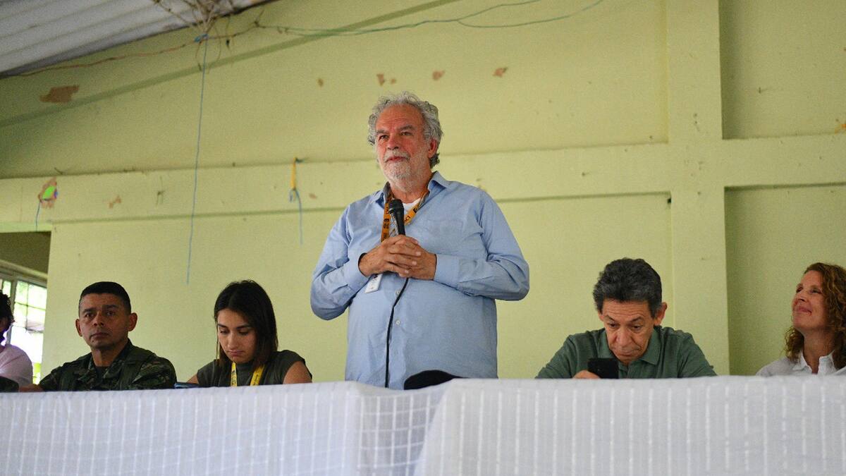 Inició el primer proyecto de sustitución de cultivos de uso ilícito en el Cauca