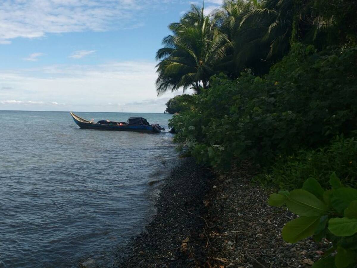 Polémica por construcción de muelle en isla Gorgona, ¿qué implicaciones tiene?