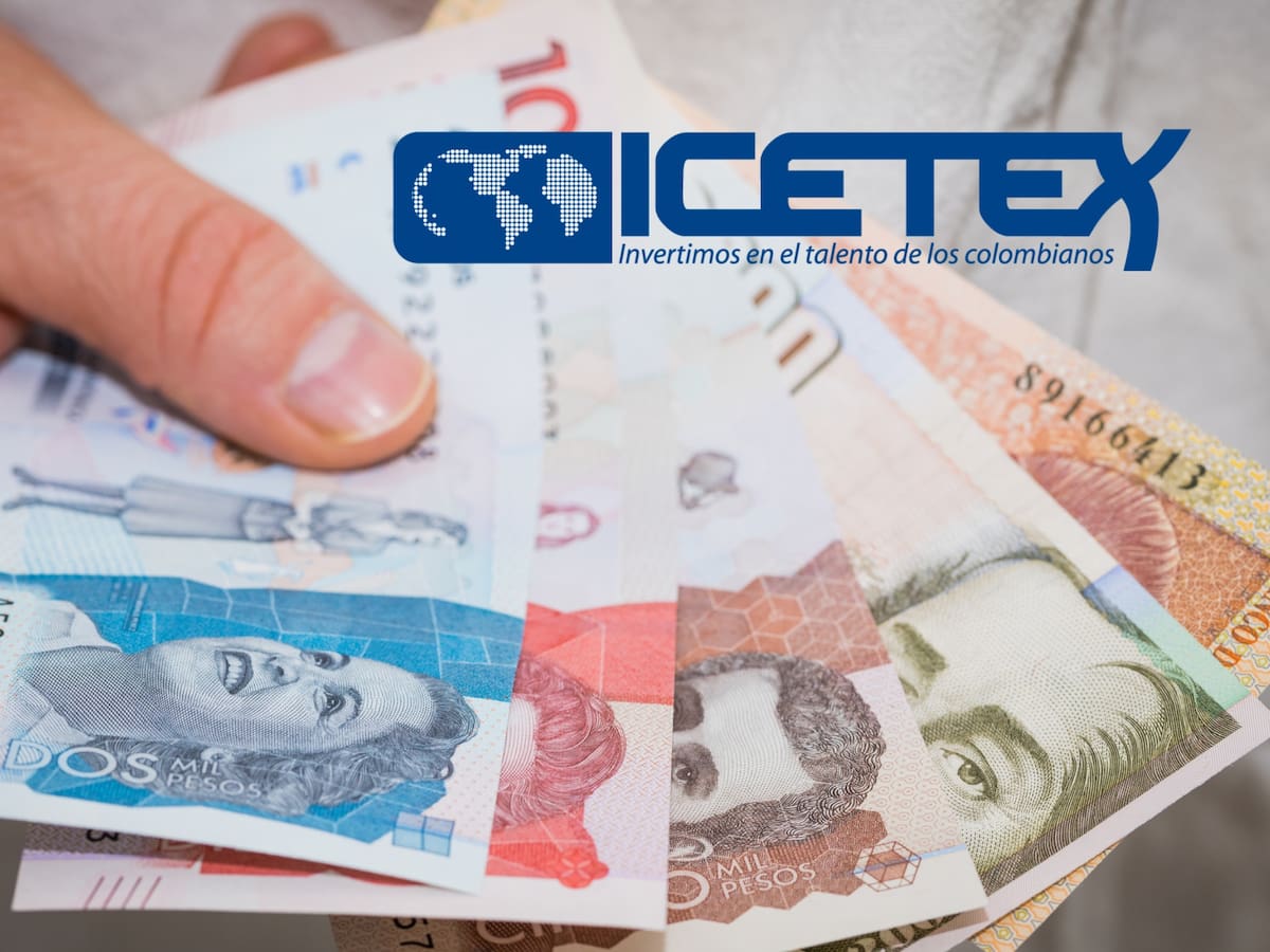 Estos son los 10 requisitos del codeudor solidario para sacar un préstamo con el ICETEX