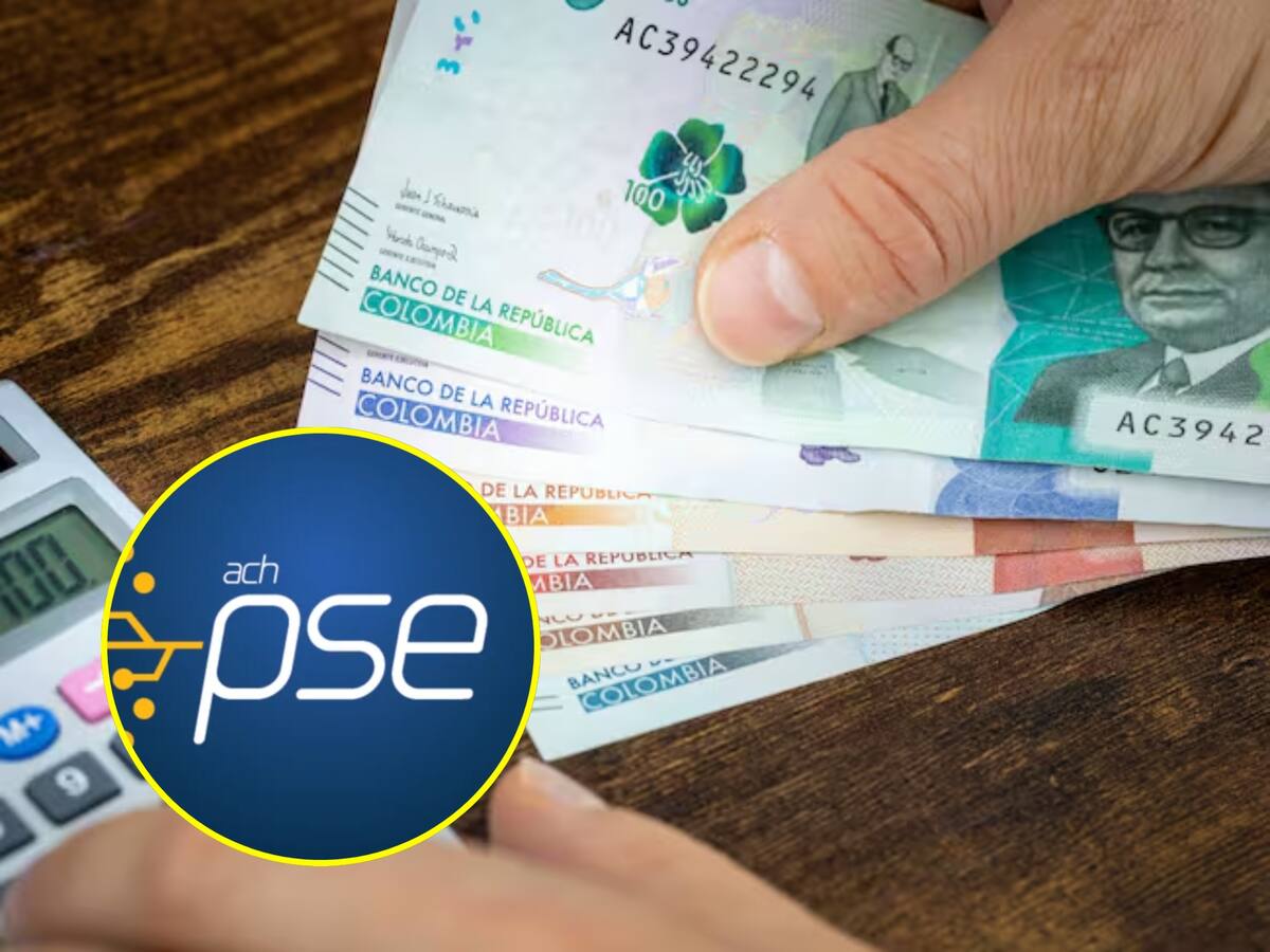 ¿Cómo pagar el comparendo por convivencia por PSE?