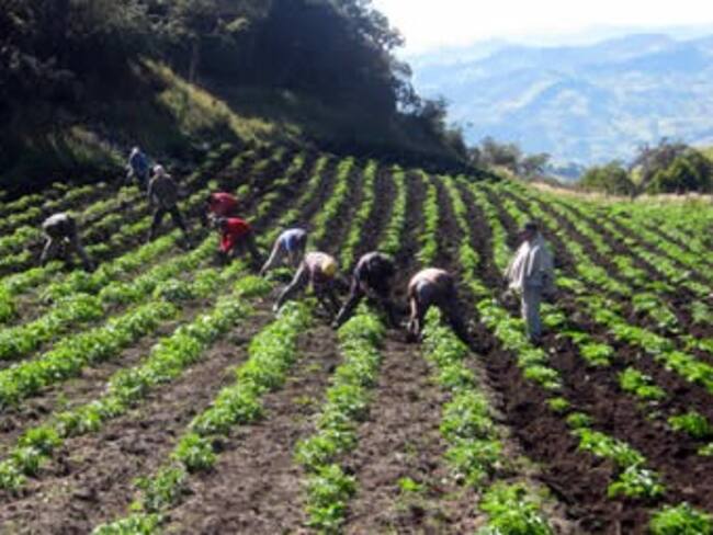 Con inversión de 800.000 millones de pesos, el Gobierno busca impulsar el agro