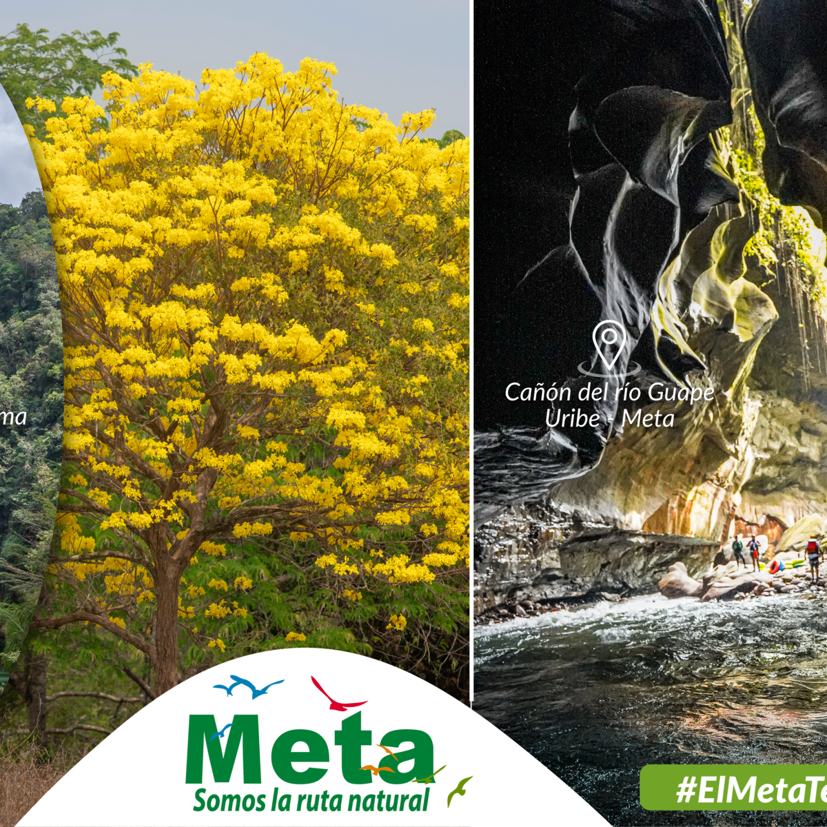 Rutas turísticas imperdibles del departamento del Meta