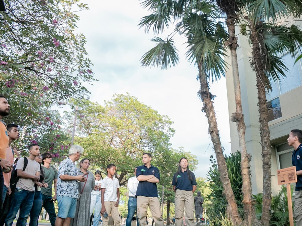 Inauguran museo vivo de árboles en Santa Marta