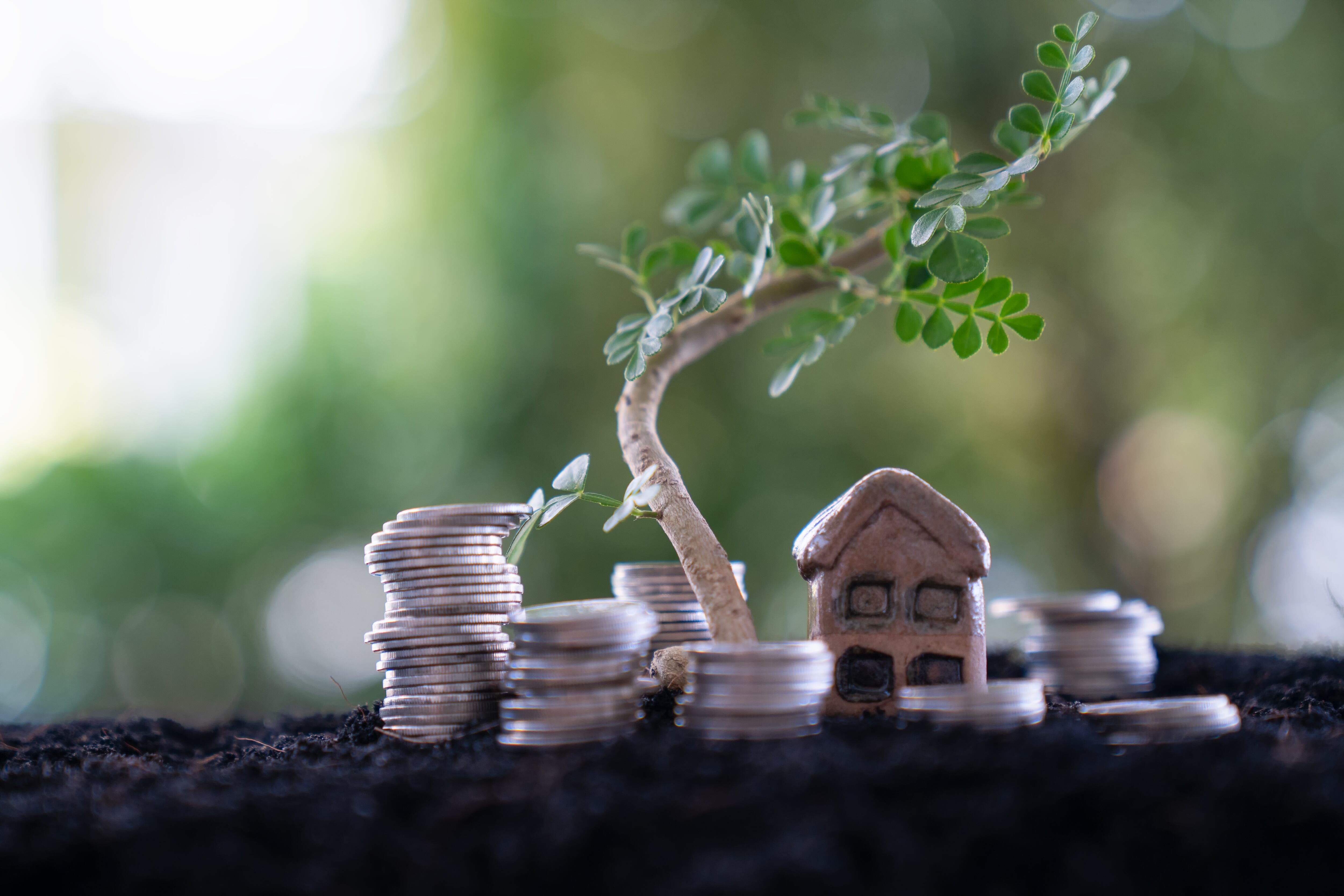 Imagen de referencia de Getty Images