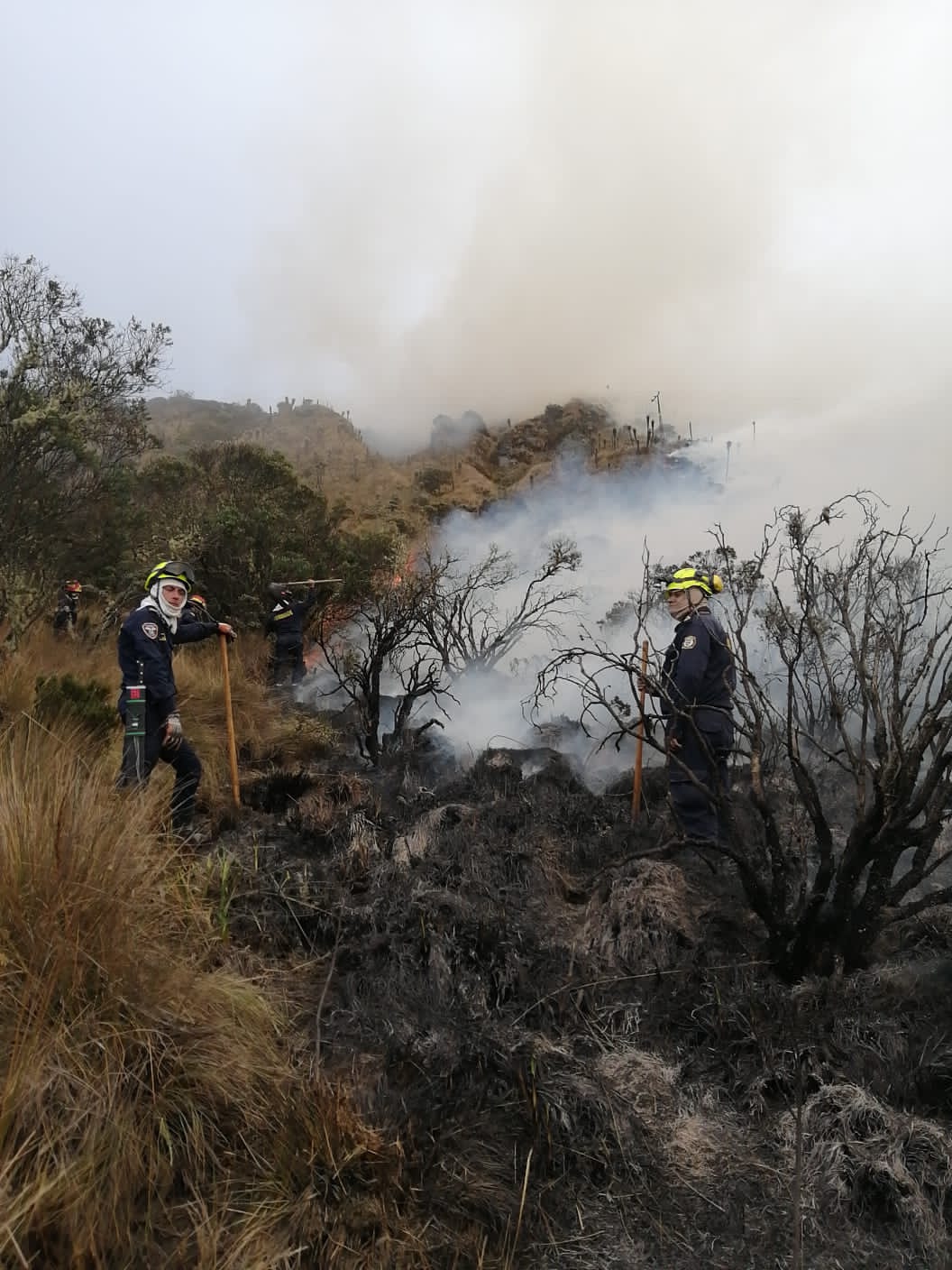 Foto Bomberos de Manizales