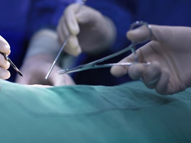 Trasplantado con éxito un riñón de cerdo a una mujer en muerte cerebral