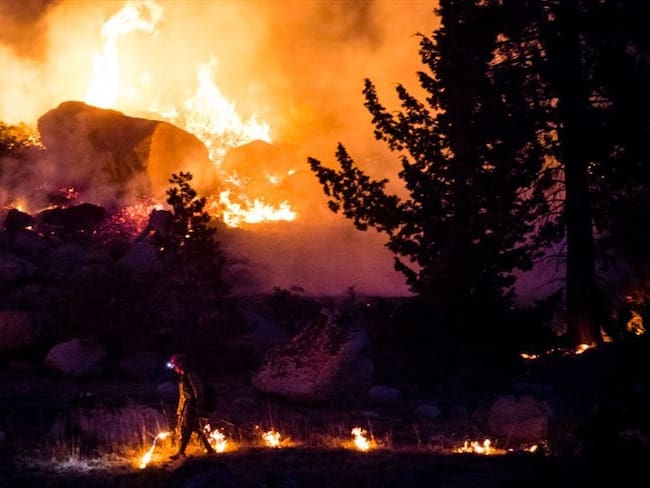 Joe Biden declara estado de desastre en California por incendios forestales. Foto: (Photo by Ty O&#039;Neil/SOPA Images/LightRocket via Getty Images)