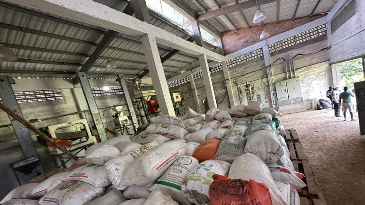 Un centro productivo en Quibdó construye paz y seguridad alimentaria para la comunidad