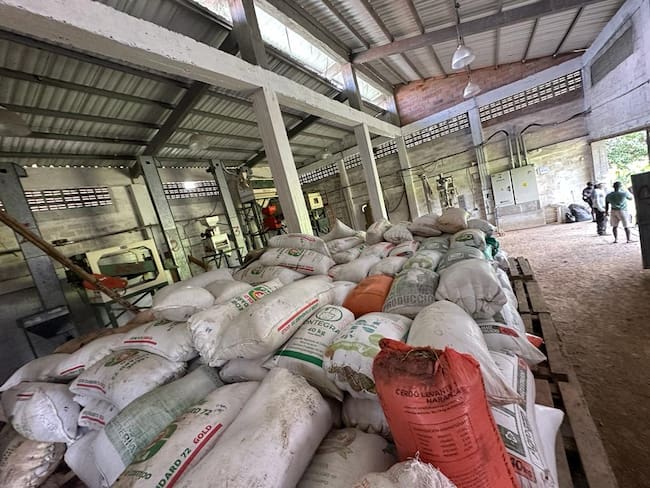 La Asociación de Productores del Medio Atrato (ASPRODERMA) centra gran parte de su producción en el arroz orgánico. | Foto: cortesía ASPRODERMA